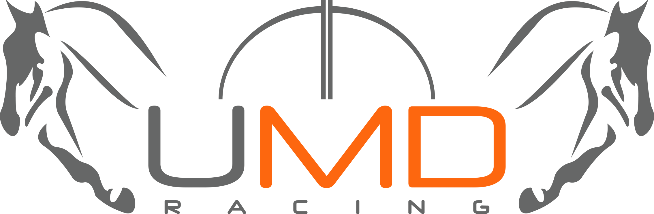 UMD Racing e.V.